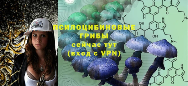 не бодяженный Армянск