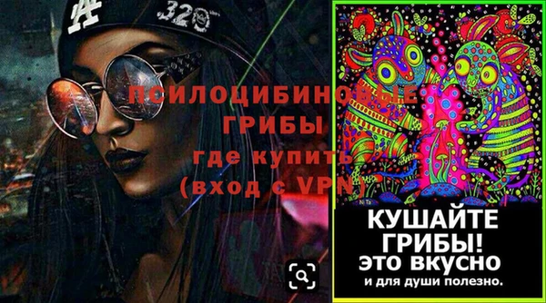 молекула духа Аркадак