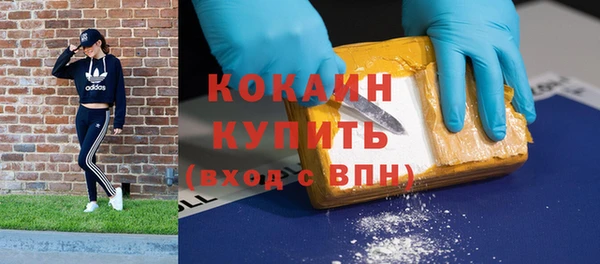 ешки Арсеньев