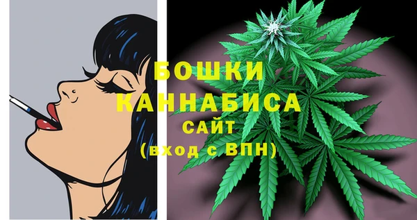 ешки Арсеньев