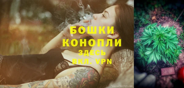 молекула духа Аркадак